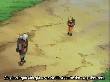 Naruto 086(30).jpg